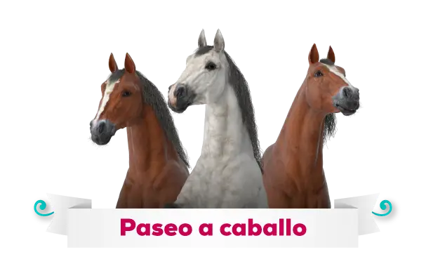 Paseo-a-caballo