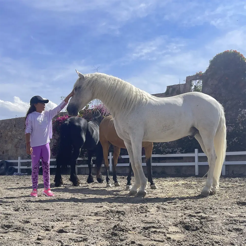 Aprendiendo con caballos