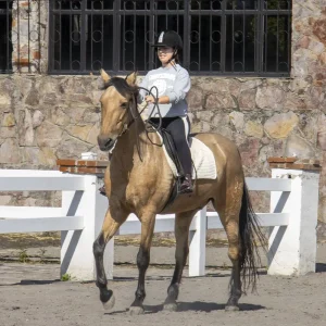 equitación consciente