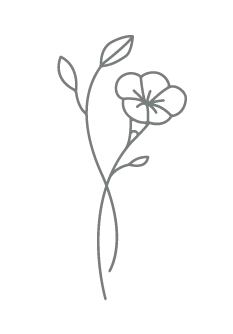 Boton flor y flor CHDH